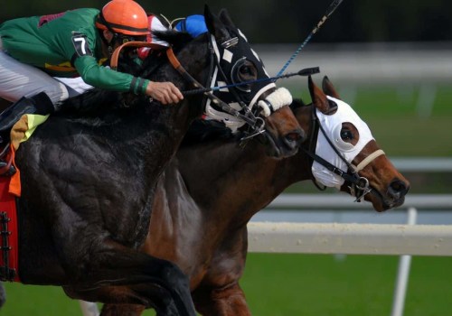 Understanding Place Bet in Horse Racing